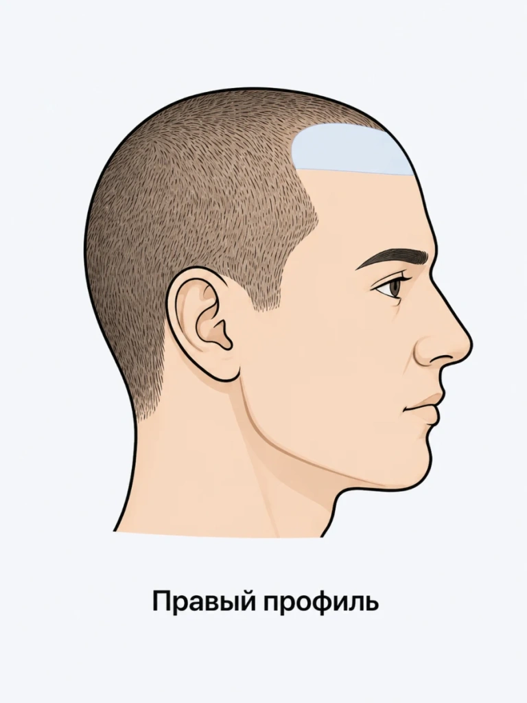 photo-right-profile.webp